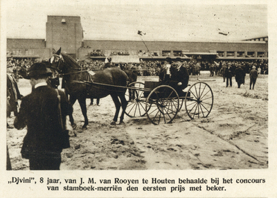 99063 Afbeelding van het prijswinnende paard 'Divini' van eigenaar J.M. van Rooyen te Houten op het Concours Hippique ...